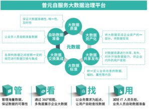 以自動化為核心的自服務大數(shù)據(jù)治理——普元王軒在第二屆數(shù)據(jù)標準化及治理大會的分享