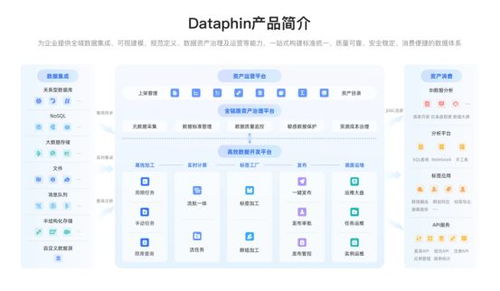 企業(yè)數(shù)據(jù)系統(tǒng)建設(shè) 治理價(jià)值凸顯，2025主流產(chǎn)品與服務(wù)全景展望