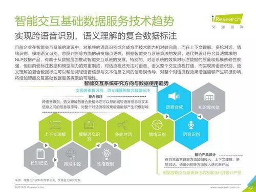 中國人工智能基礎(chǔ)數(shù)據(jù)服務行業(yè)報告 數(shù)據(jù)處理服務的核心價值與演進趨勢